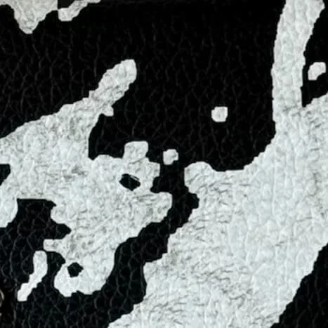 Premium Flicka case